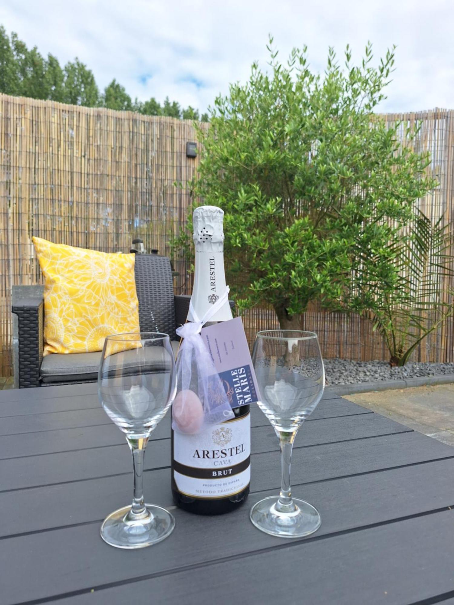 Stelle Maris, Nice Place In Heinkenszand, 2 Bedrooms, Outdoor Swimming Pool, Wifi Smart Tv And Privacy Eksteriør billede